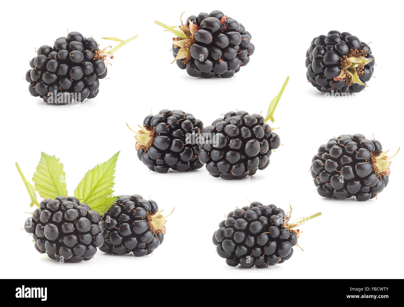 Mise à fruit Blackberry libre isolated on white Banque D'Images