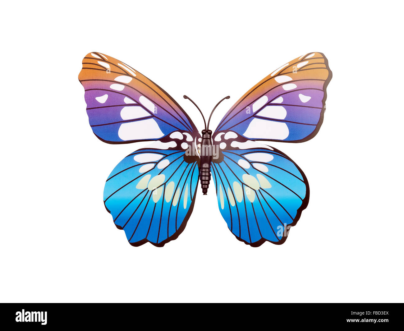 Sticker mural papillon isolé sur fond blanc Banque D'Images