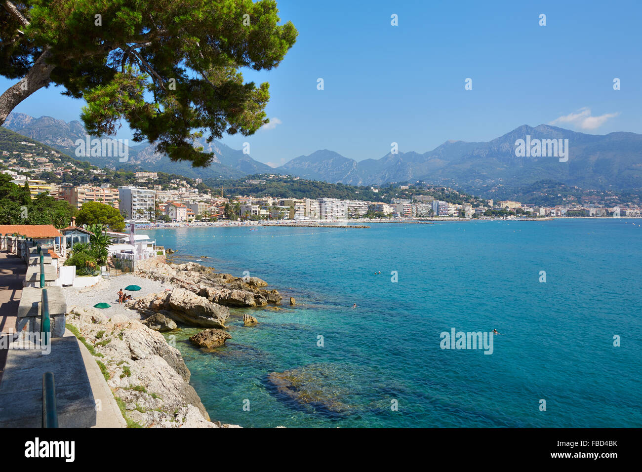 Mer bleue et le ciel de la côte d'Azur avec le pin maritime en été, le Cap Martin Banque D'Images