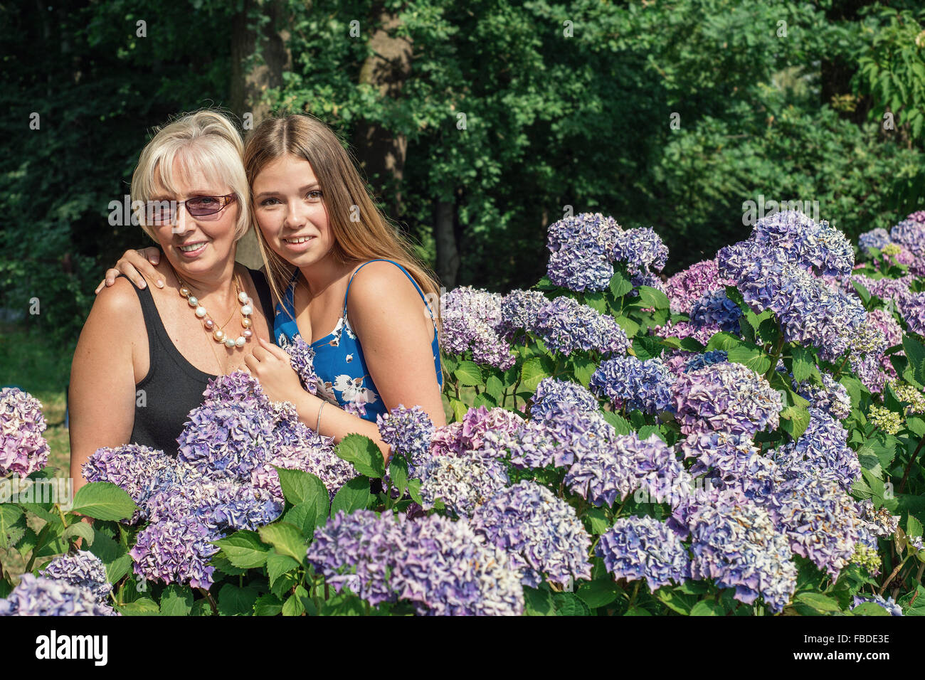 Deux femmes de générations différentes, debout près de fleurs d'hortensias. Mère et fille Banque D'Images