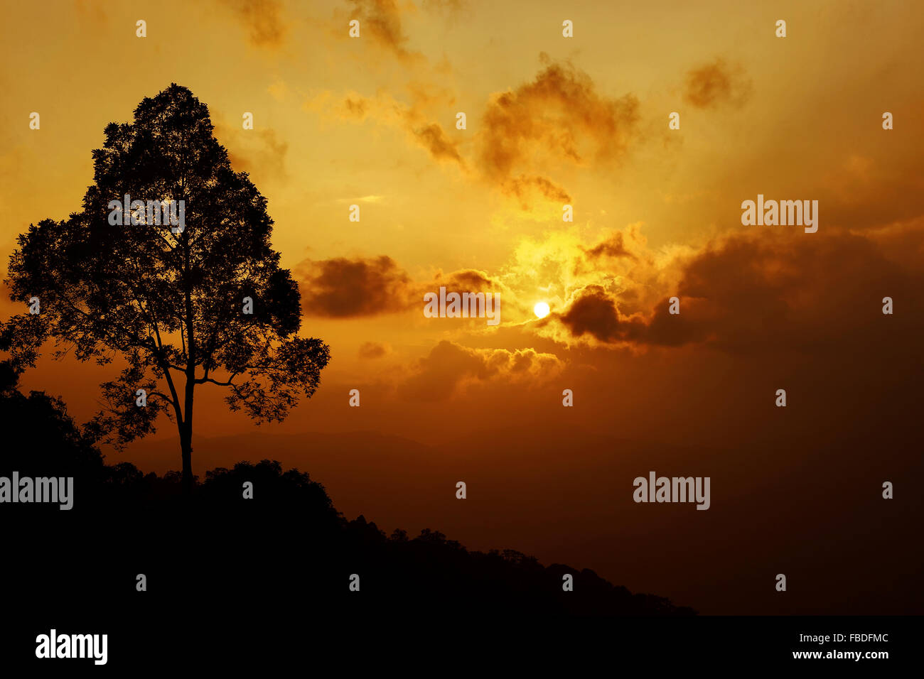 Scène magnifique coucher de soleil dans la montagne Banque D'Images