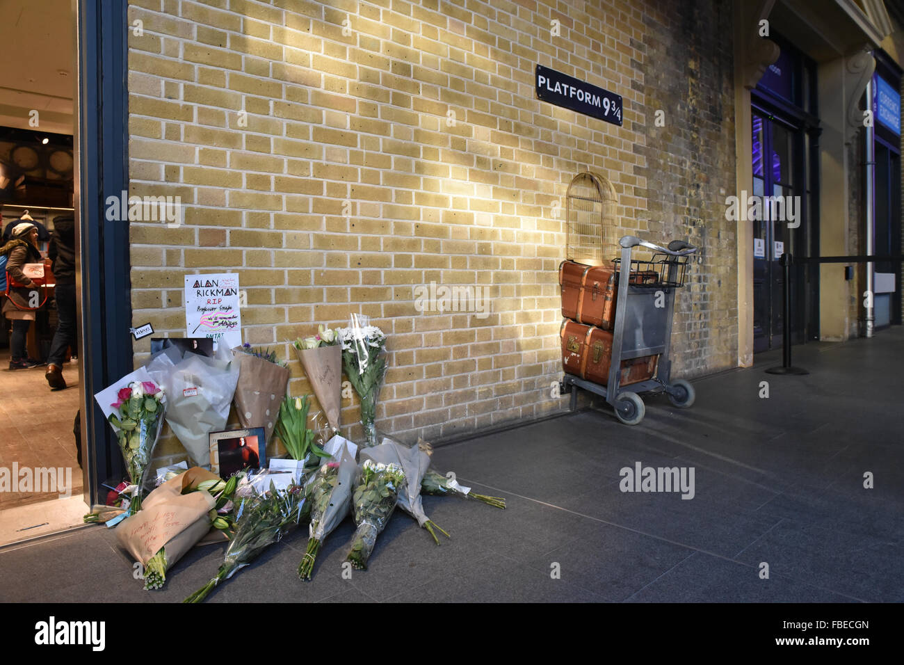 Kings Cross, London, UK. 15 janvier 2016. Alan Rickman : Hommages à gauche pour la fin de l'acteur à Harry Potter, la plate-forme 9 3/4 Banque D'Images