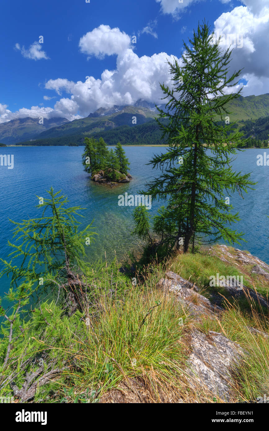 Incroyable journée ensoleillée au lac Silsersee dans les Alpes suisses. Segl, Suisse, Europe. Banque D'Images