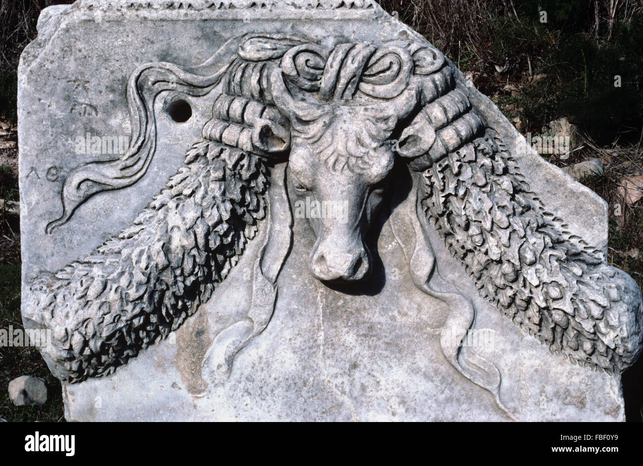 Ancienne cité Gréco ou Bas-Relief Sculpture d'une tête de taureau et Floral Design ou Garland sur la façon arcadienne (c2e) Ephèse, Selçuk, Turquie Banque D'Images