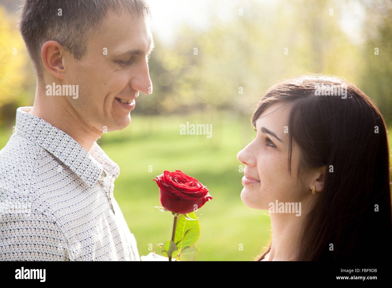 Les amateurs de couple sur une date de réunion, à la recherche dans les yeux, young man giving rose rouge à sa belle amie brunet Banque D'Images