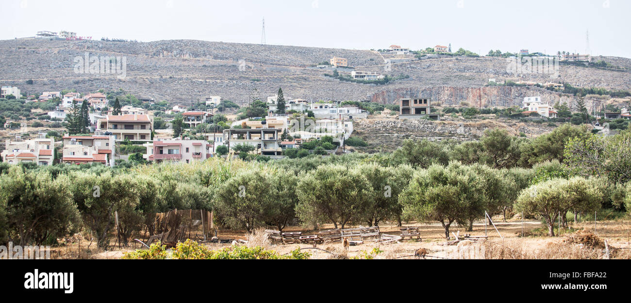 Le jardin des oliviers. Village sur l'arrière-plan. Banque D'Images