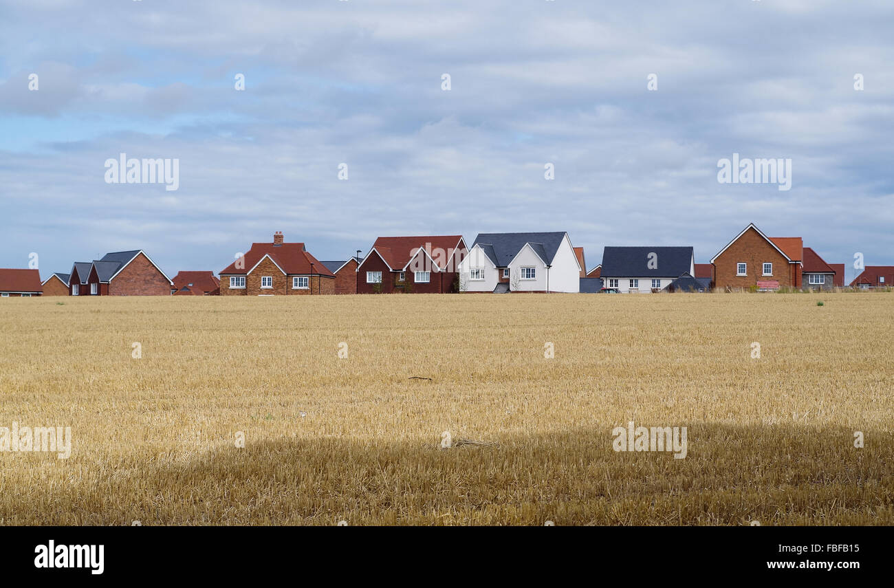Maisons nouvellement construites sur un développement sur les terres agricoles dans le West Sussex, illustré à la recherche sur le reste des champ de maïs. Banque D'Images