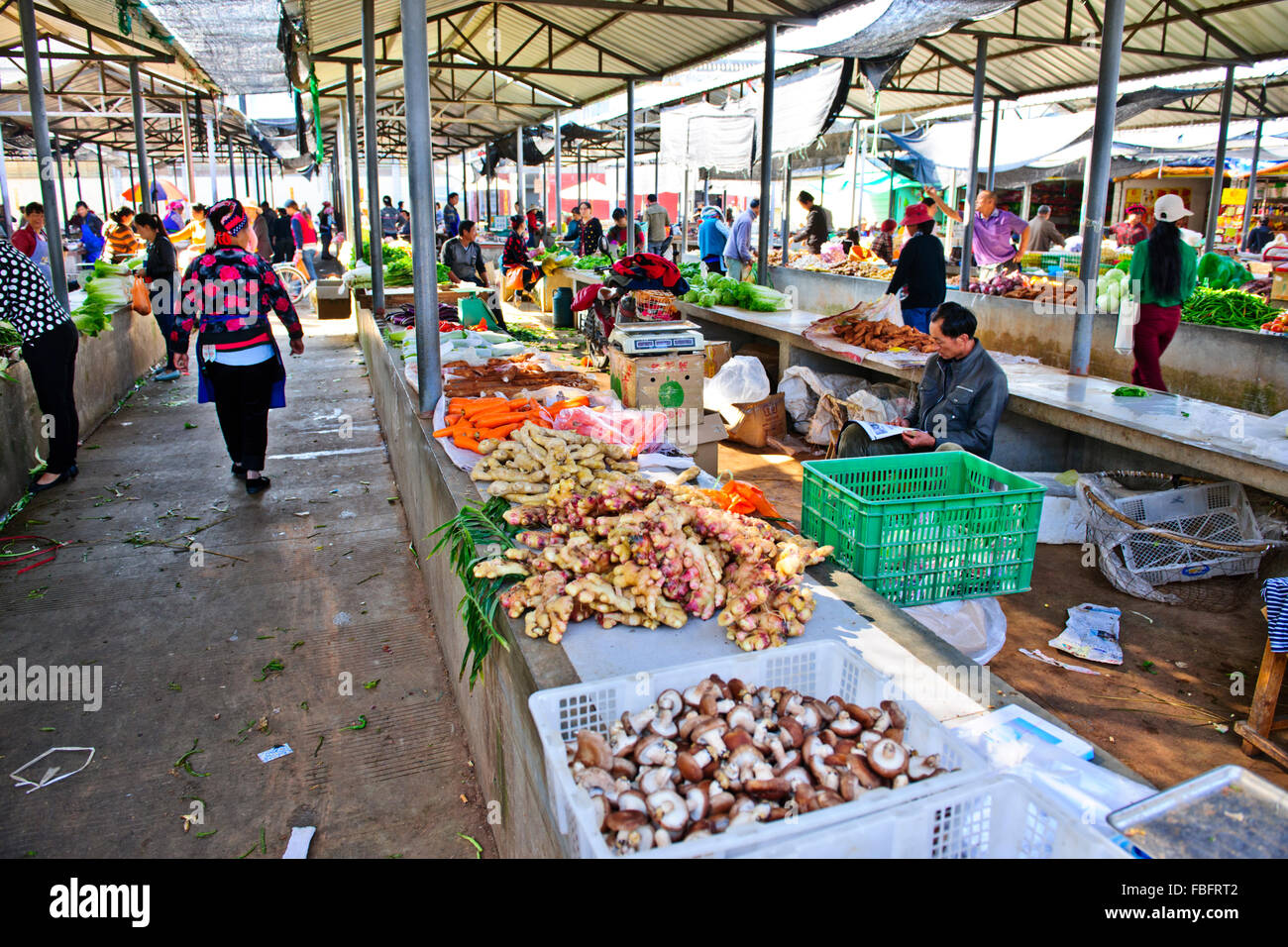 Shaxi,aliments,Marché,Légumes,épices Ingrédients médicinaux chinois de la province de Yunnan, Chine, République populaire de Chine, Chine Banque D'Images