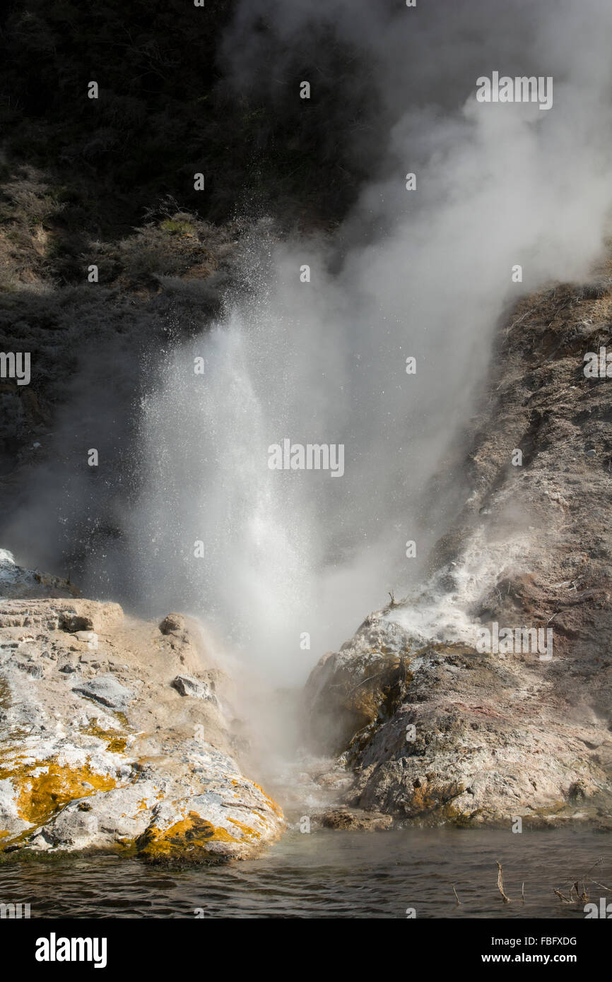 Situé dans une vallée du rift volcanique Lac Rotomahana en Nouvelle-Zélande montre les fumerolles et les geysers avec terrasses autour de frittage. Banque D'Images