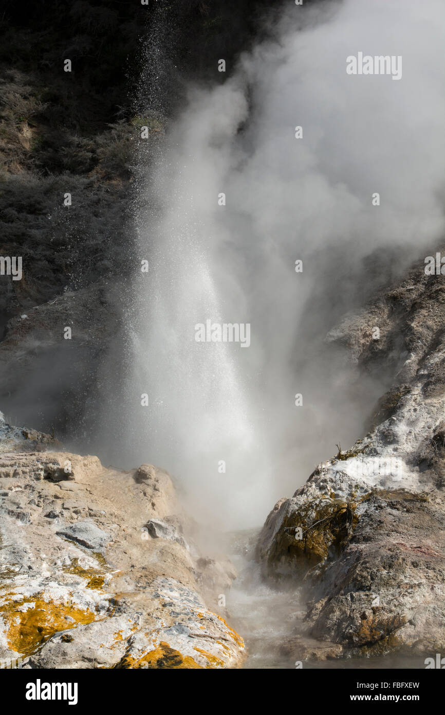 Situé dans une vallée du rift volcanique Lac Rotomahana en Nouvelle-Zélande montre les fumerolles et les geysers avec terrasses autour de frittage. Banque D'Images