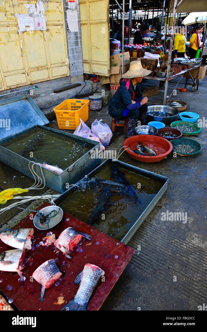 Shaxi,aliments,Marché,Légumes,épices Ingrédients médicinaux chinois de la province de Yunnan, Chine, République populaire de Chine, Chine Banque D'Images