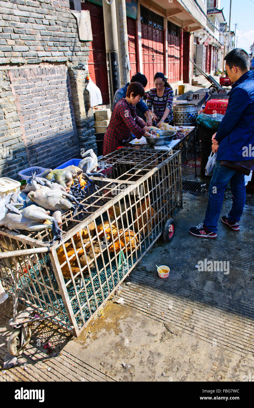 Shaxi,aliments,Marché,Légumes,épices Ingrédients médicinaux chinois de la province de Yunnan, Chine, République populaire de Chine, Chine Banque D'Images