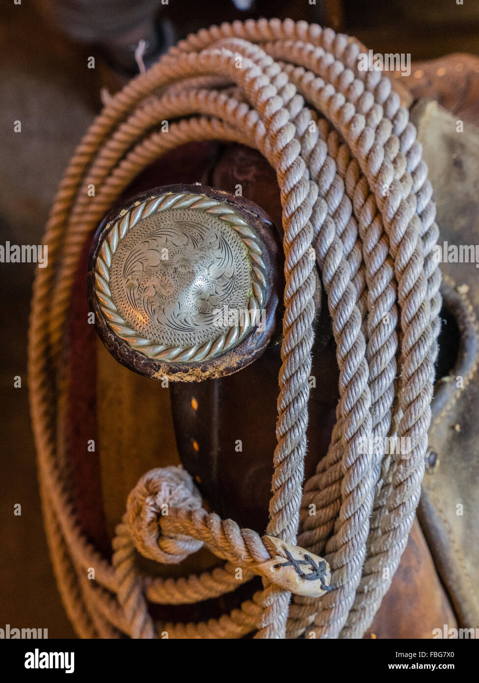 Une vue rapprochée d'un antique gravé en argent et corne de selle un lariat enroulé autour d'elle dans une grange avec fenêtre la lumière. Banque D'Images