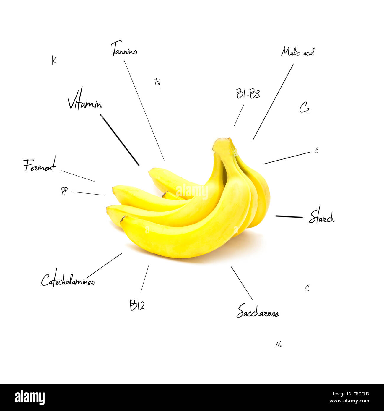 La composition chimique de la banane Banque D'Images