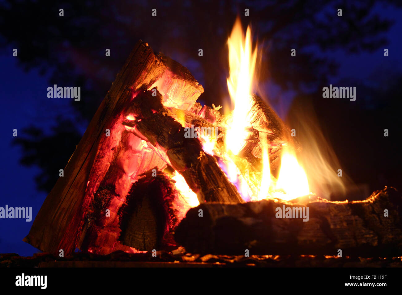 Un feu de joie sur les sombres arbres sur ciel bleu extrim photo gros plan Banque D'Images