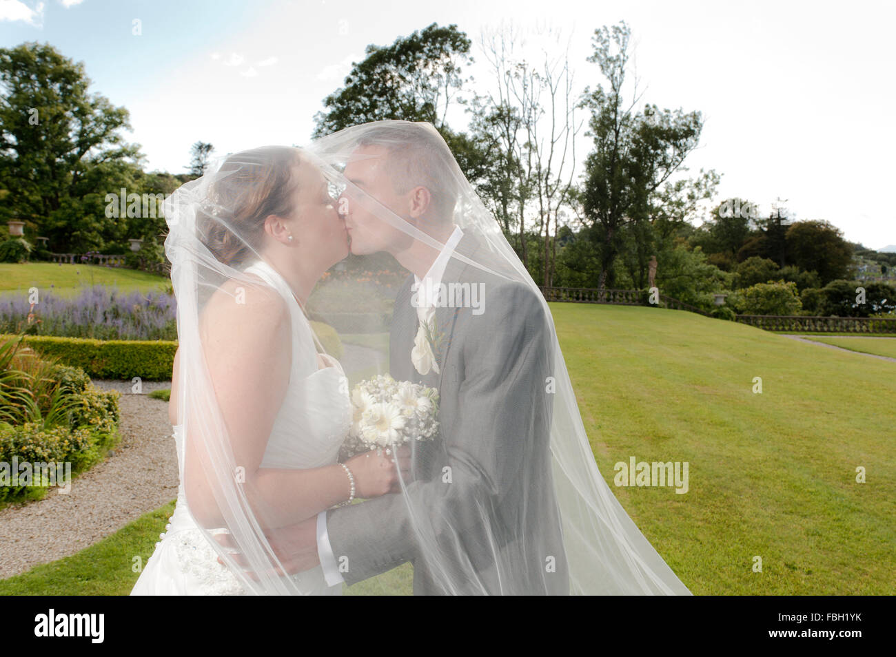 Bride and Groom kissing sous le voile de la mariée dans le parc de Bantry House & Gardens, Bantry, Irlande le jour de leur mariage. Banque D'Images