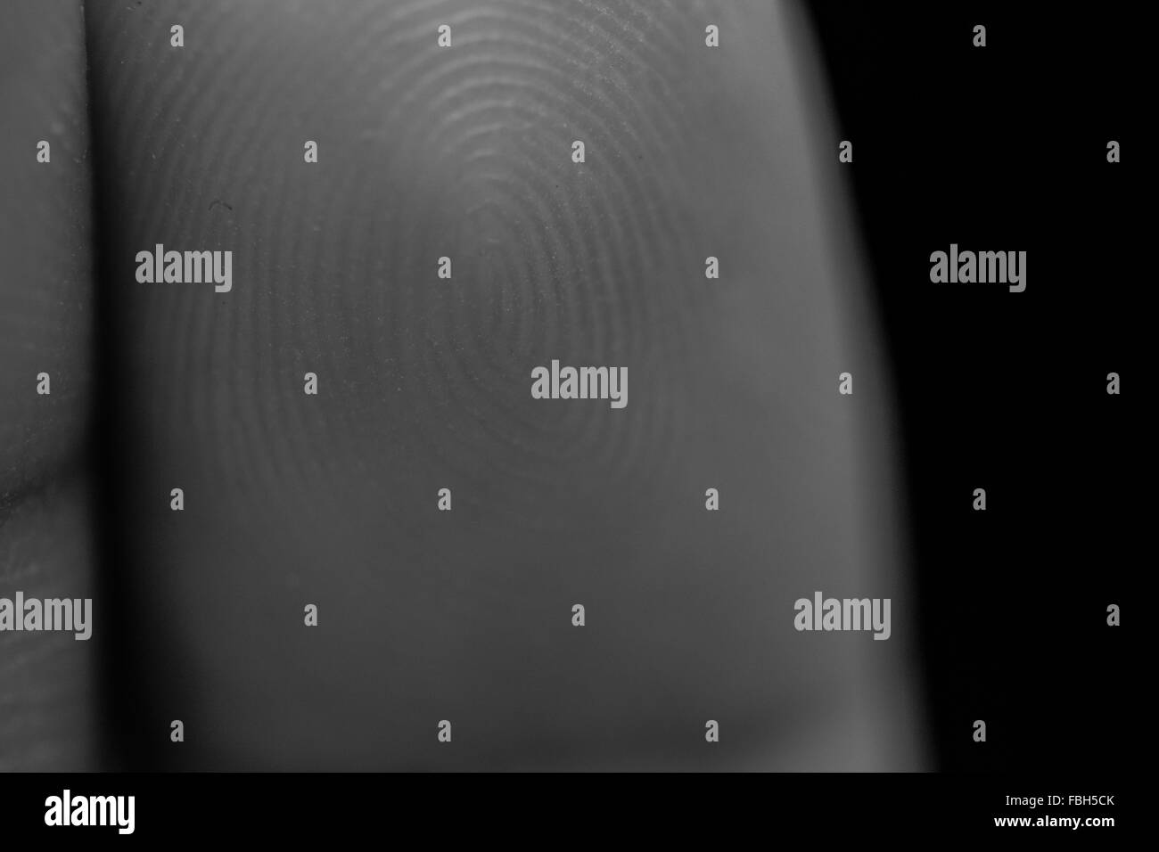 Close up sur les anneaux d'un doigt en noir et blanc Banque D'Images