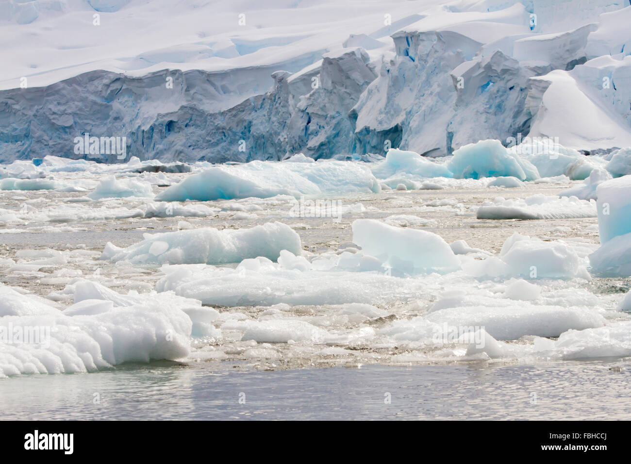 Domaine de bits bergie et bourguignons le long littoral de Antarctical Péninsule. Banque D'Images