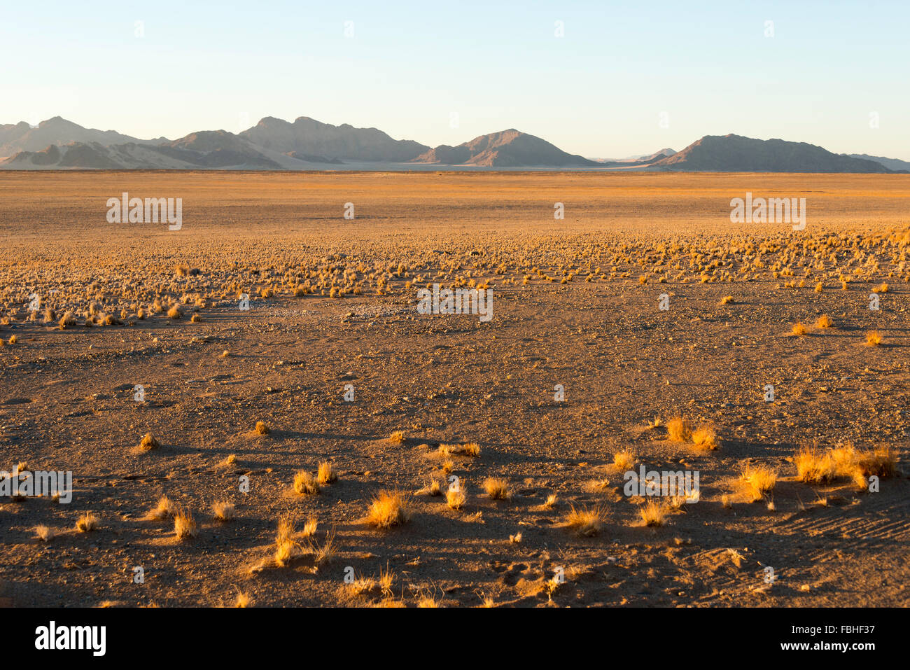 Scène du désert, Namib Naukluft Park, le désert de Namib, Namibie Banque D'Images