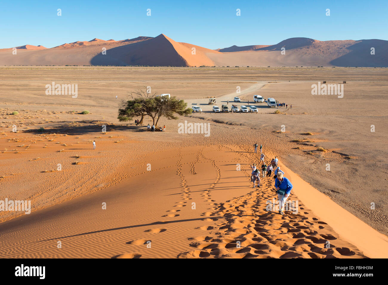 Escalade les touristes, des dunes de sable Sossusvlei, Désert du Namib, le parc de Namib Naukluft, Région Hardap, République de Namibie Banque D'Images