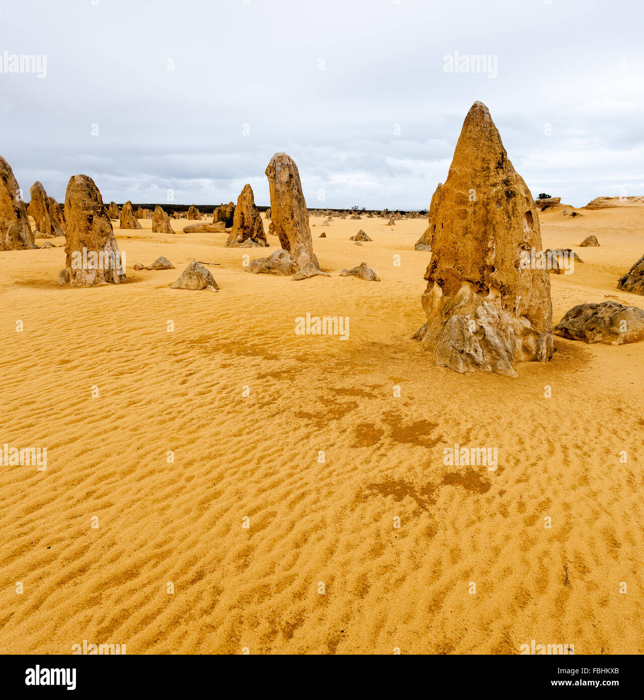 Les pinacles sont des formations calcaires dans le Parc National de Nambung, près de la ville de Cervantès, l'ouest de l'Australie. Banque D'Images