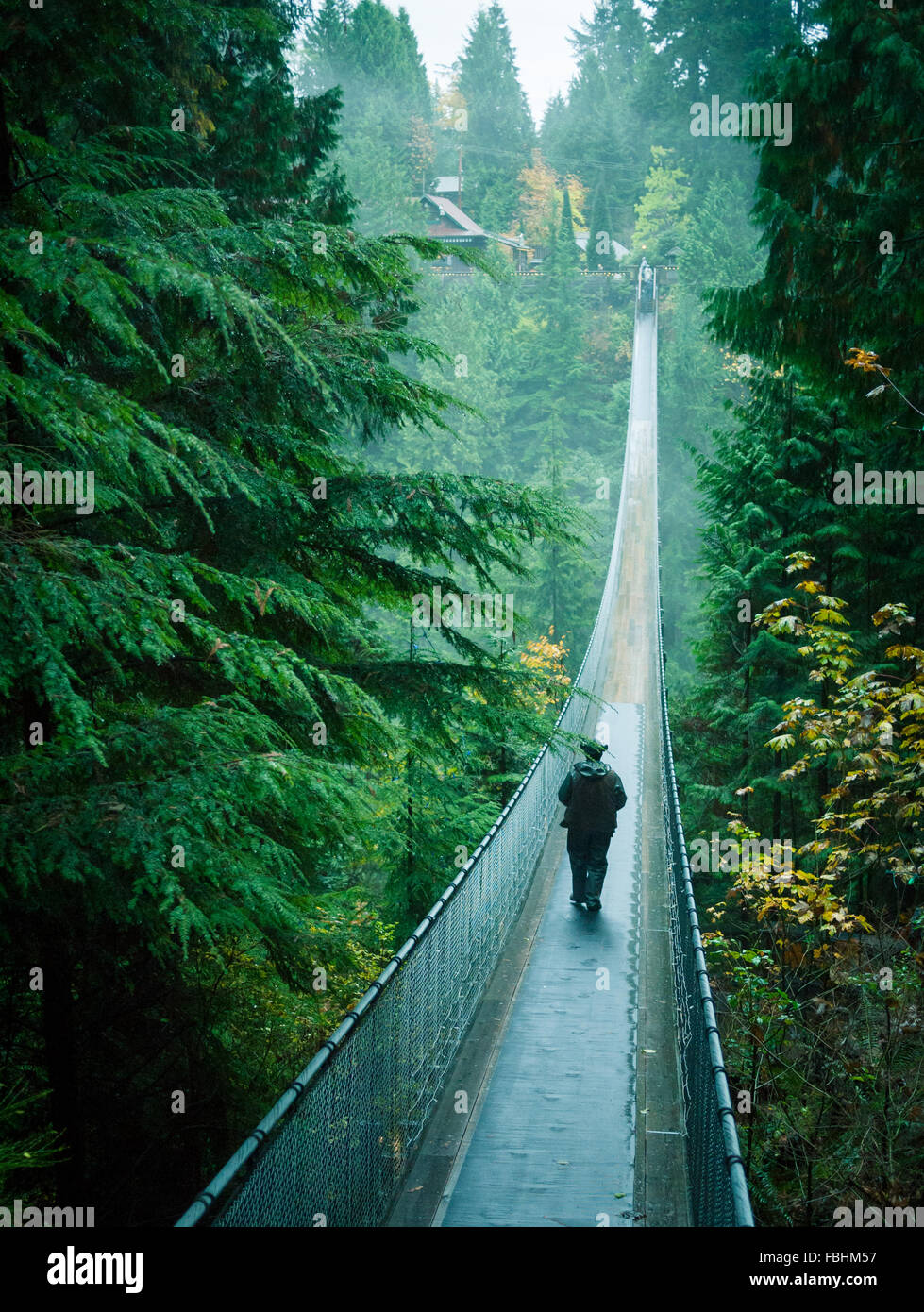 Le Pont Suspendu de Capilano, attraction touristique populaire au Pont Suspendu de Capilano, à North Vancouver, Canada. Banque D'Images