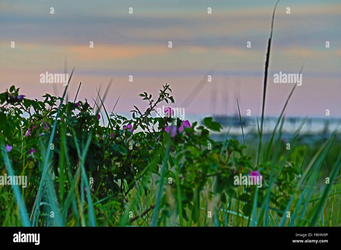 Petit bateau sur la mer Baltique à la plage de Mecklembourg-Poméranie-Occidentale, Allemagne, Zierow Banque D'Images