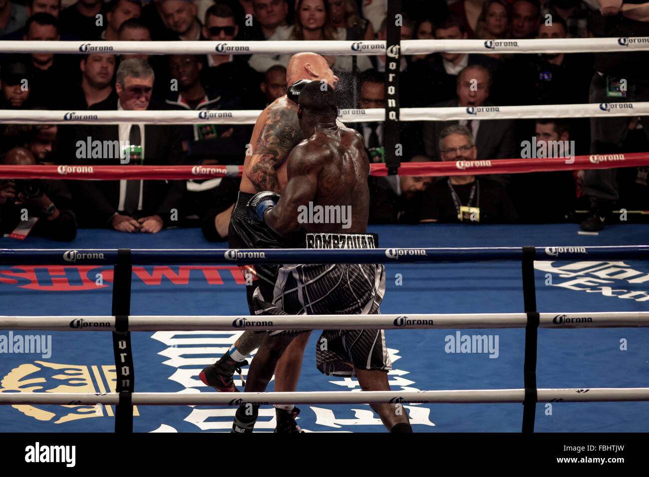 Brooklyn, New York, USA. 17 Jan, 2016. DEONTAY WILDER (troncs d'argent) et ARTUR SZPILKA bataille dans un titre WBC heavyweight bout au Barclays Center de Brooklyn, New York. Crédit : Joel Plummer/ZUMA/Alamy Fil Live News Banque D'Images