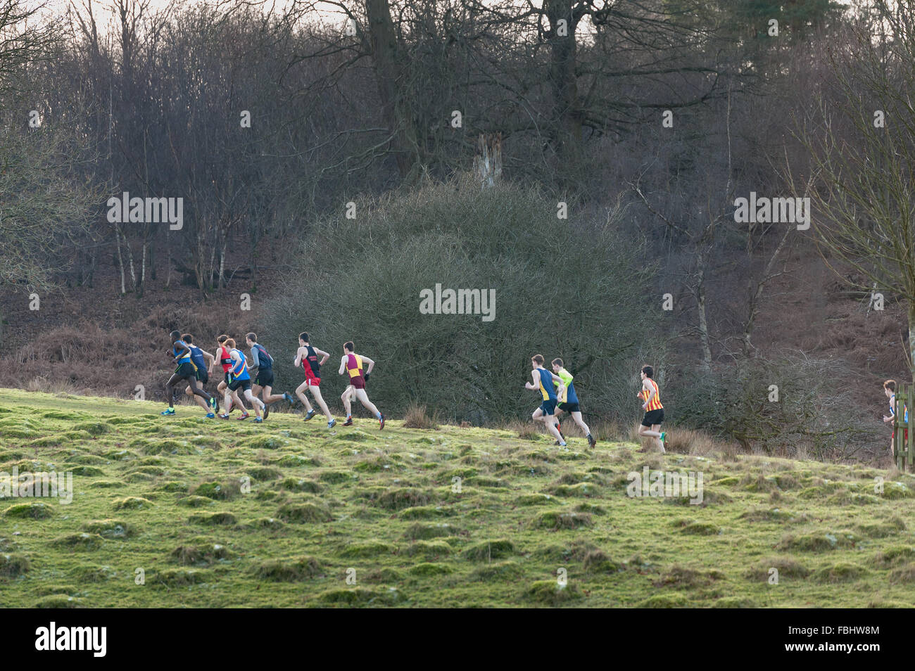 Masse de coureurs d'un pays à se lancer dans la première grande colline à une froide Prairie gelé en hiver pente Banque D'Images Masse de coureurs d'un pays à se lancer dans la première grande colline à une froide Prairie gelé en hiver pente Banque D'Images