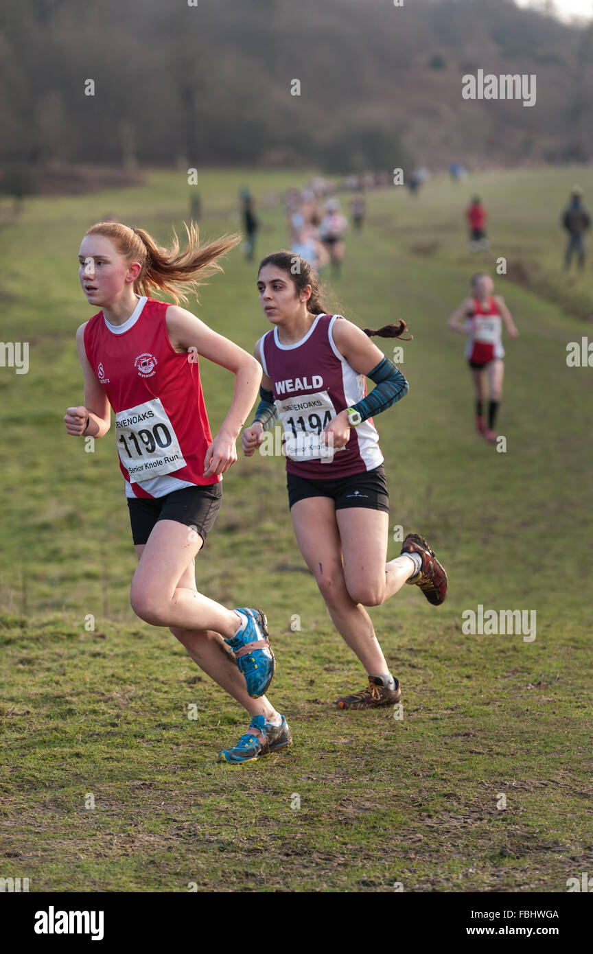L'Assemblée Knole Run Sevenoaks School cross country mile run jeunes équipes en course d'endurance difficiles Banque D'Images L'Assemblée Knole Run Sevenoaks School cross country mile run jeunes équipes en course d'endurance difficiles Banque D'Images