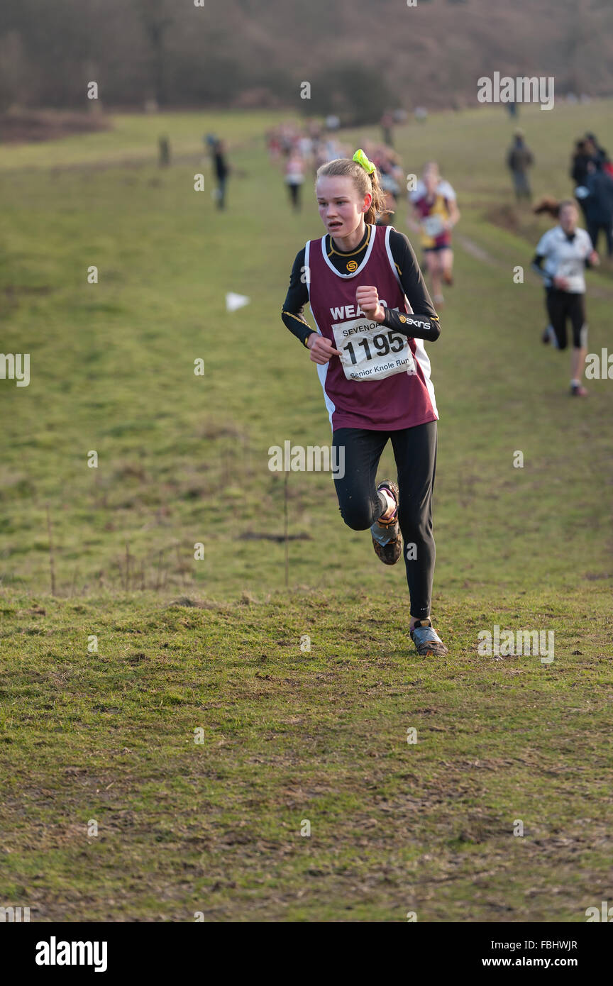 L'Assemblée Knole Run Sevenoaks School cross country mile run jeunes équipes en course d'endurance difficiles Banque D'Images L'Assemblée Knole Run Sevenoaks School cross country mile run jeunes équipes en course d'endurance difficiles Banque D'Images