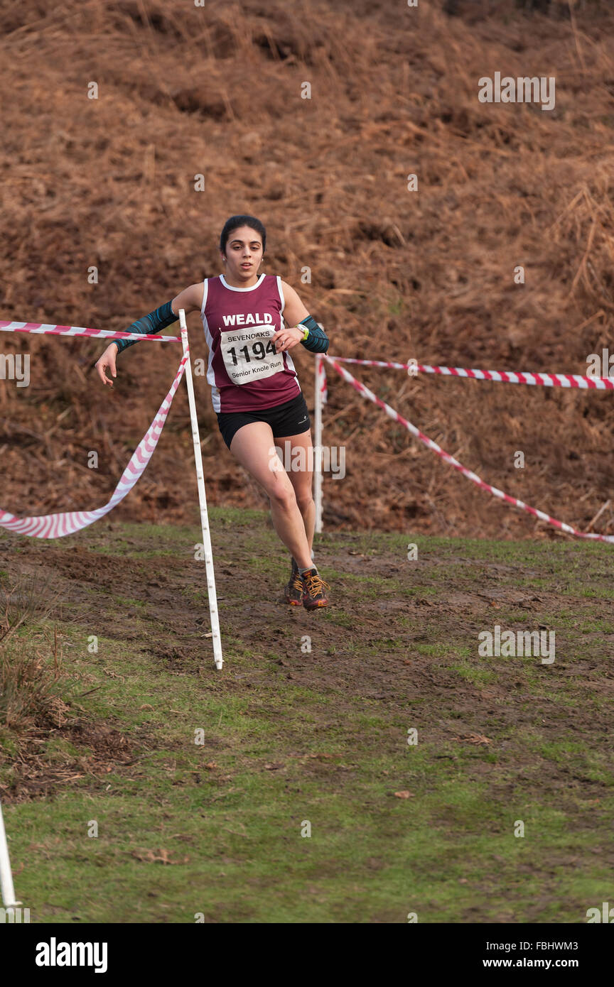L'Assemblée Knole Run Sevenoaks School cross country mile run jeunes équipes en course d'endurance difficiles Banque D'Images L'Assemblée Knole Run Sevenoaks School cross country mile run jeunes équipes en course d'endurance difficiles Banque D'Images