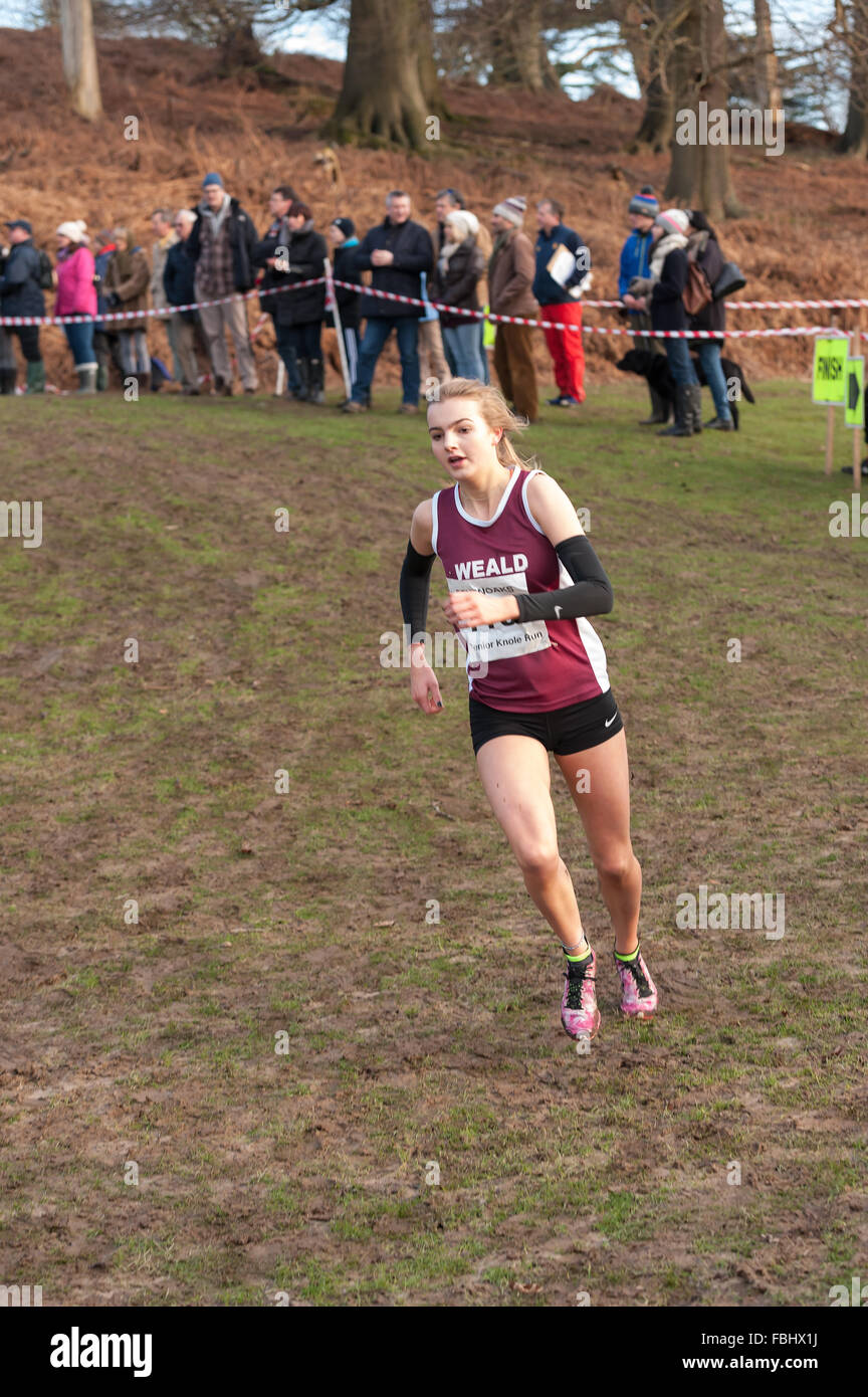 L'Assemblée Knole Run Sevenoaks School cross country mile run jeunes équipes en course d'endurance difficiles Banque D'Images L'Assemblée Knole Run Sevenoaks School cross country mile run jeunes équipes en course d'endurance difficiles Banque D'Images