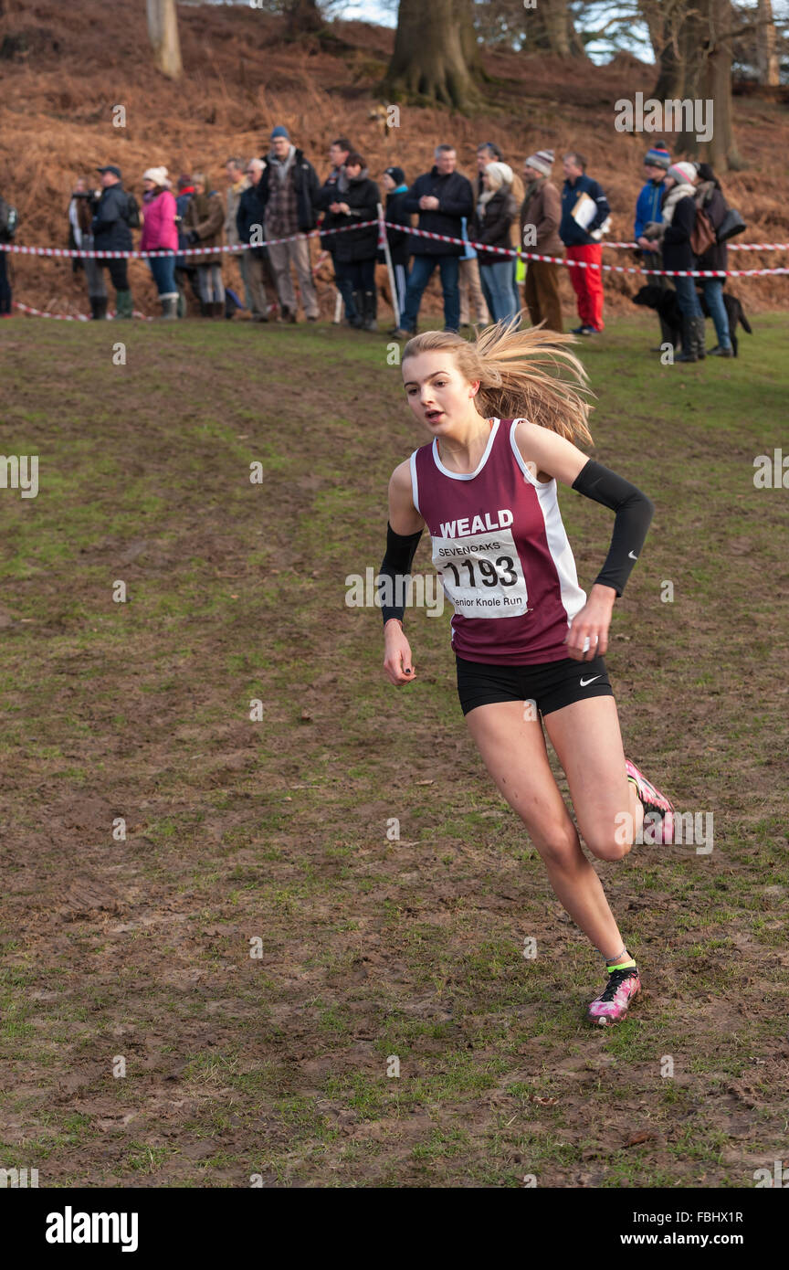 L'Assemblée Knole Run Sevenoaks School cross country mile run jeunes équipes en course d'endurance difficiles Banque D'Images L'Assemblée Knole Run Sevenoaks School cross country mile run jeunes équipes en course d'endurance difficiles Banque D'Images