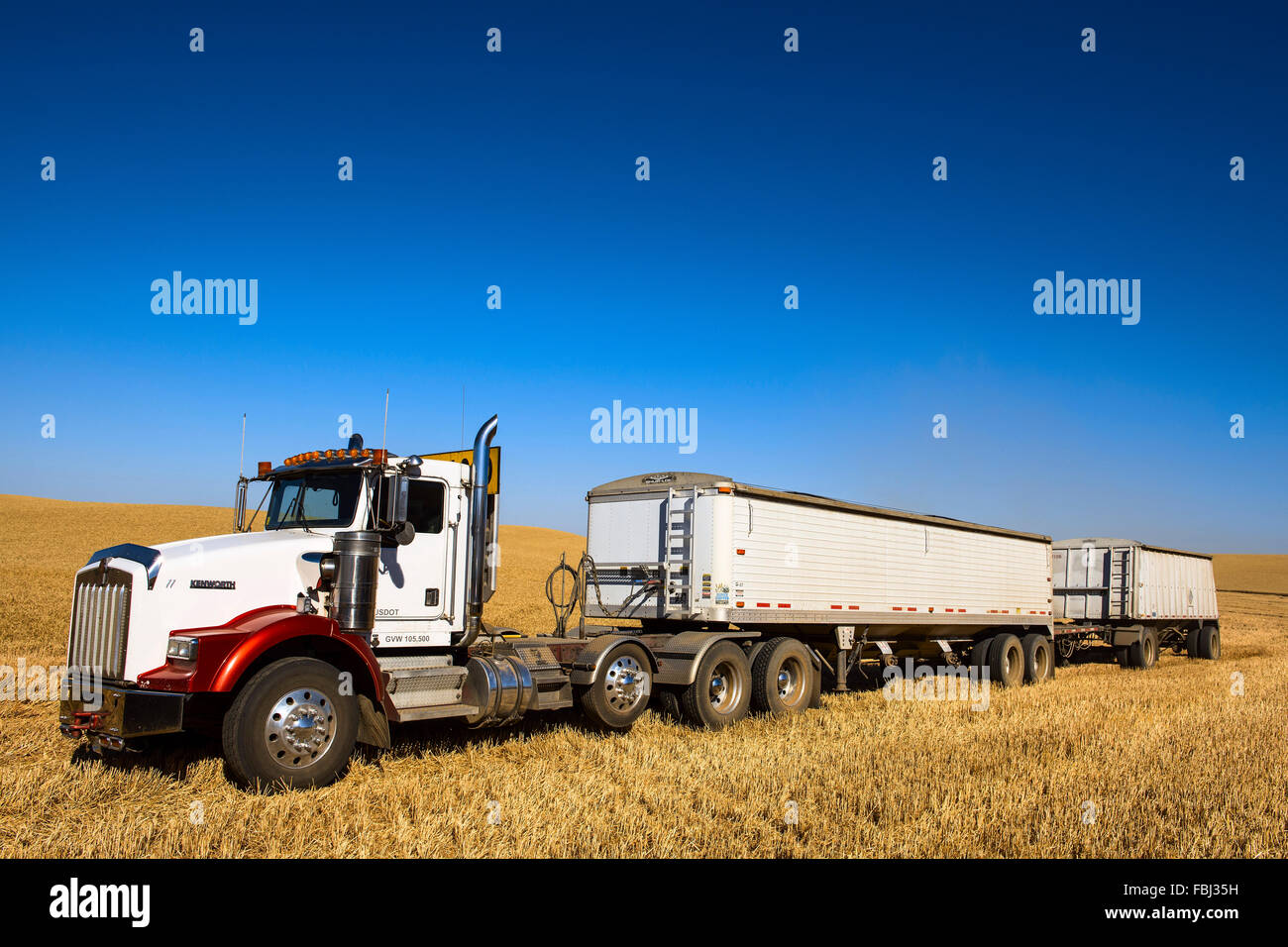 Camion à grain attendent d'être chargés dans un champ pendant la récolte dans la région de Washington Palouse Banque D'Images