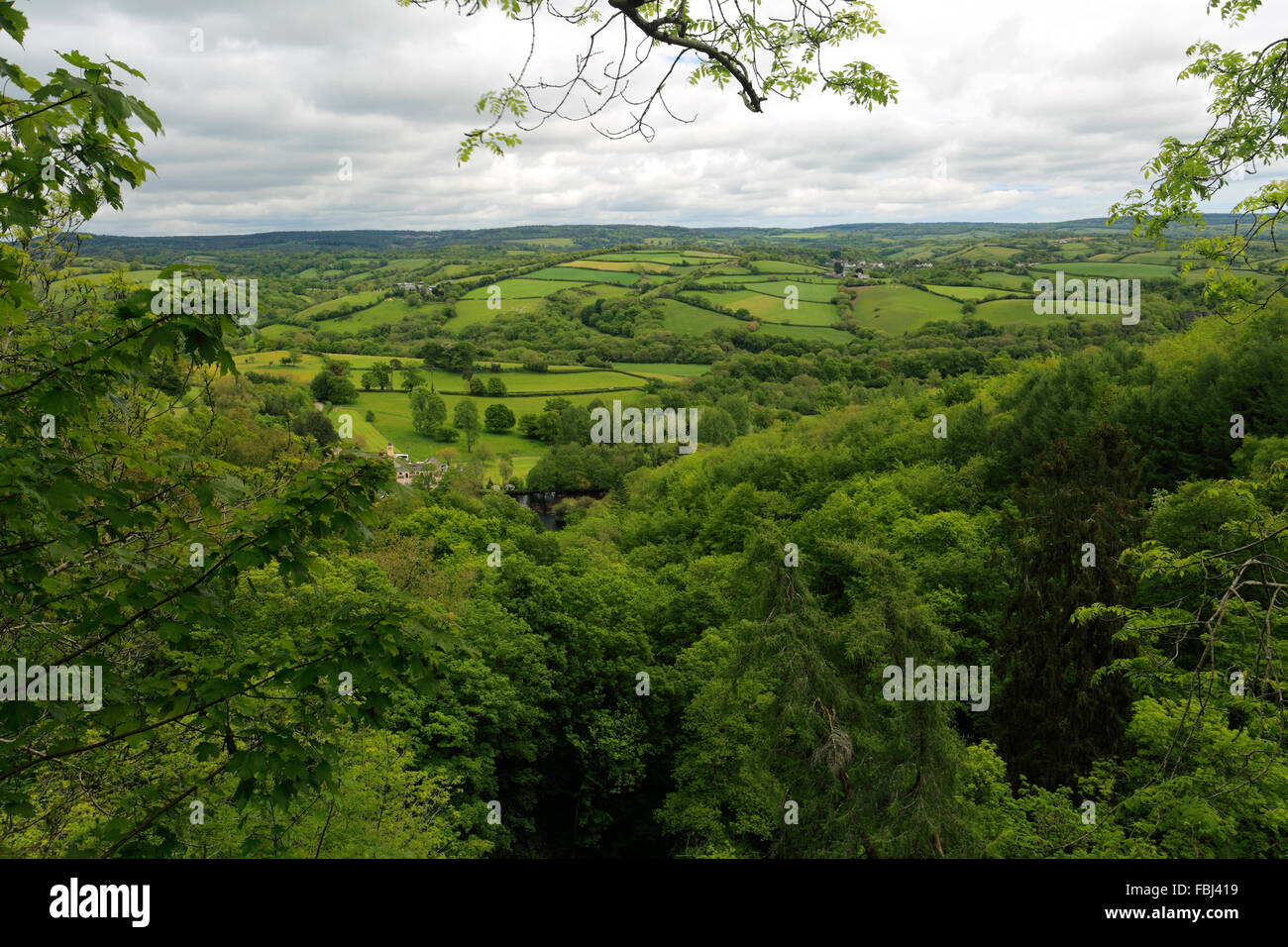 L'été, de la rivière Teign Valley près de Ashton, village du district de Teignbridge, Dartmoor National Park, comté de Devon, England, UK Banque D'Images