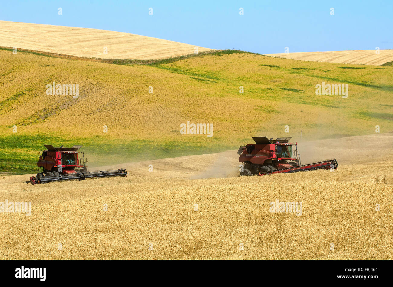 Allie la récolte d'orge dans la région de Washington Palouse Banque D'Images