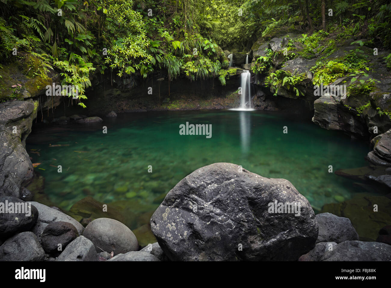 Dans les Caraïbes, la Guadeloupe, île, tropical, jungle, forêt, cascade, piscine, paradis, bassin, plantes, pierres, vert, turquoise, de la lumière, de l'humeur, mystique, paysages, Banque D'Images