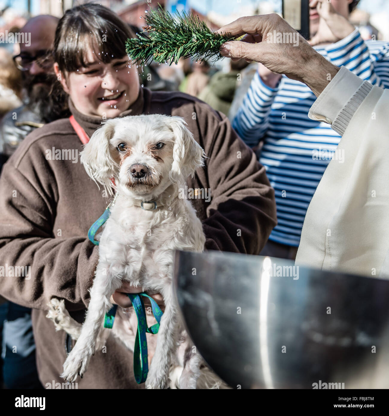 Barcelone, Catalogne, Espagne. 17 Jan, 2016. Un chien prend part à la  bénédiction annuelle de l'événement Les animaux à la Escola Pia Sant Antoni  de Barcelone au jour de fête de San