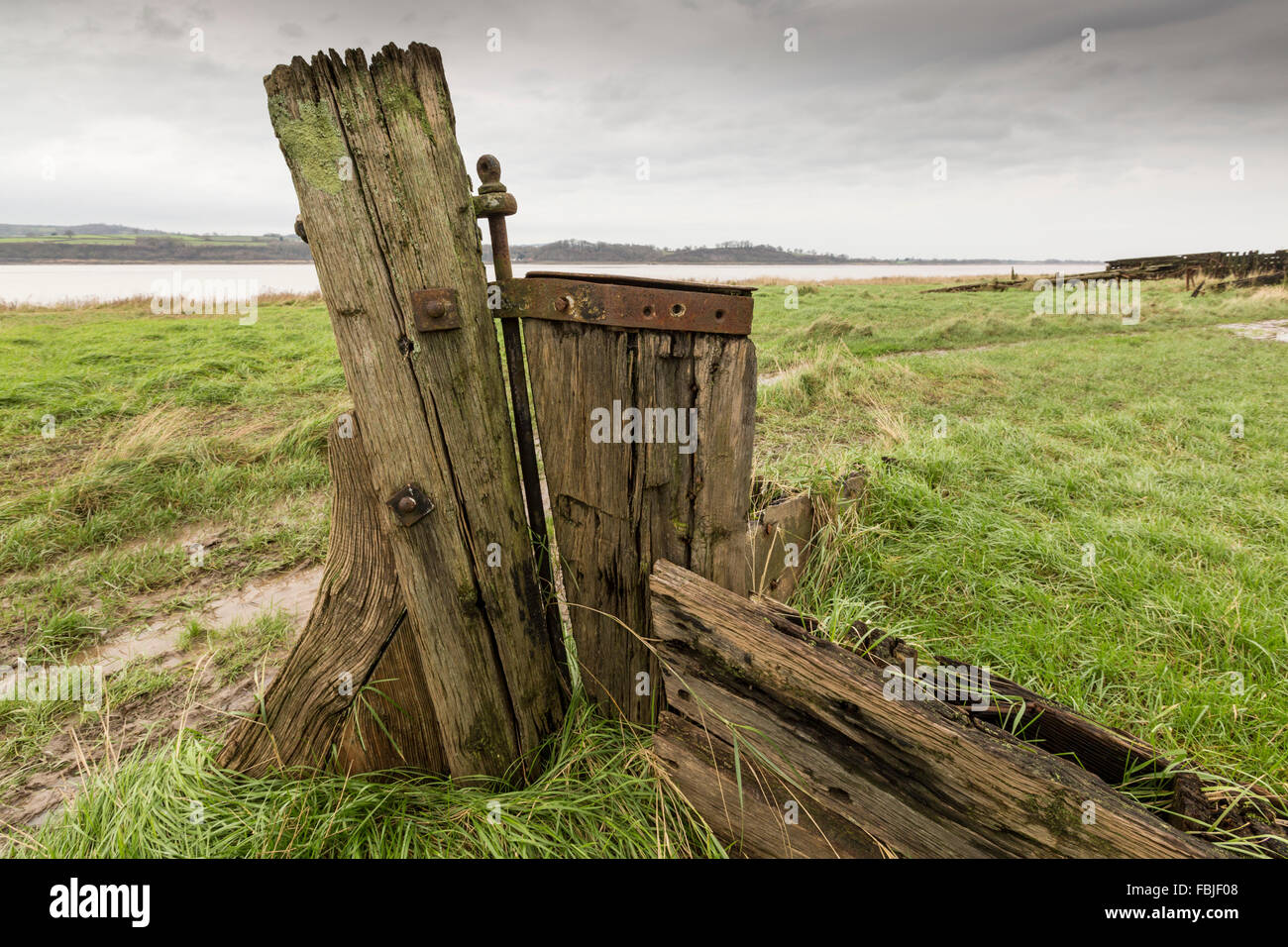 Le gouvernail d'une barge en bois en décomposition aux navires Purton Hulks tombe à Purton, Gloucestershire, Angleterre Banque D'Images