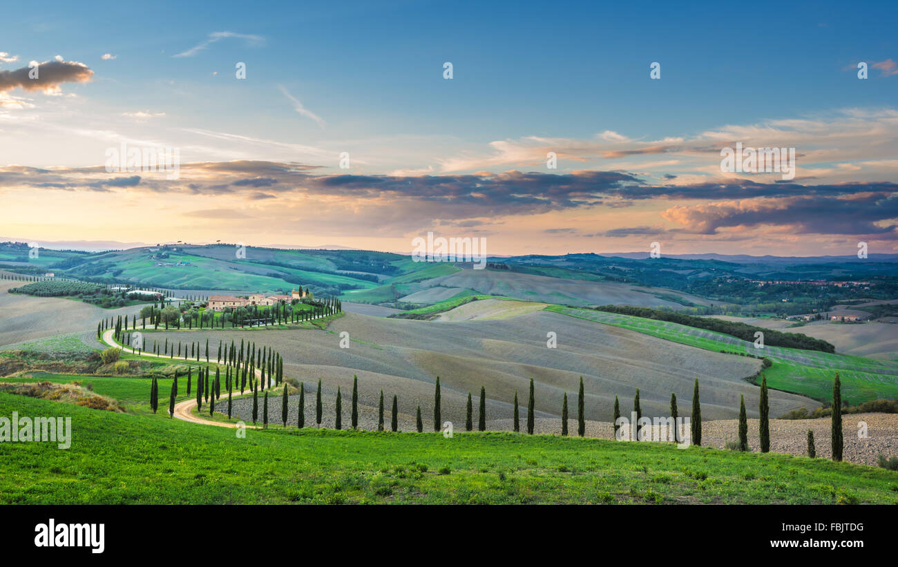 Champ d'automne ensoleillé fantastique en Italie, Toscane paysage. Banque D'Images