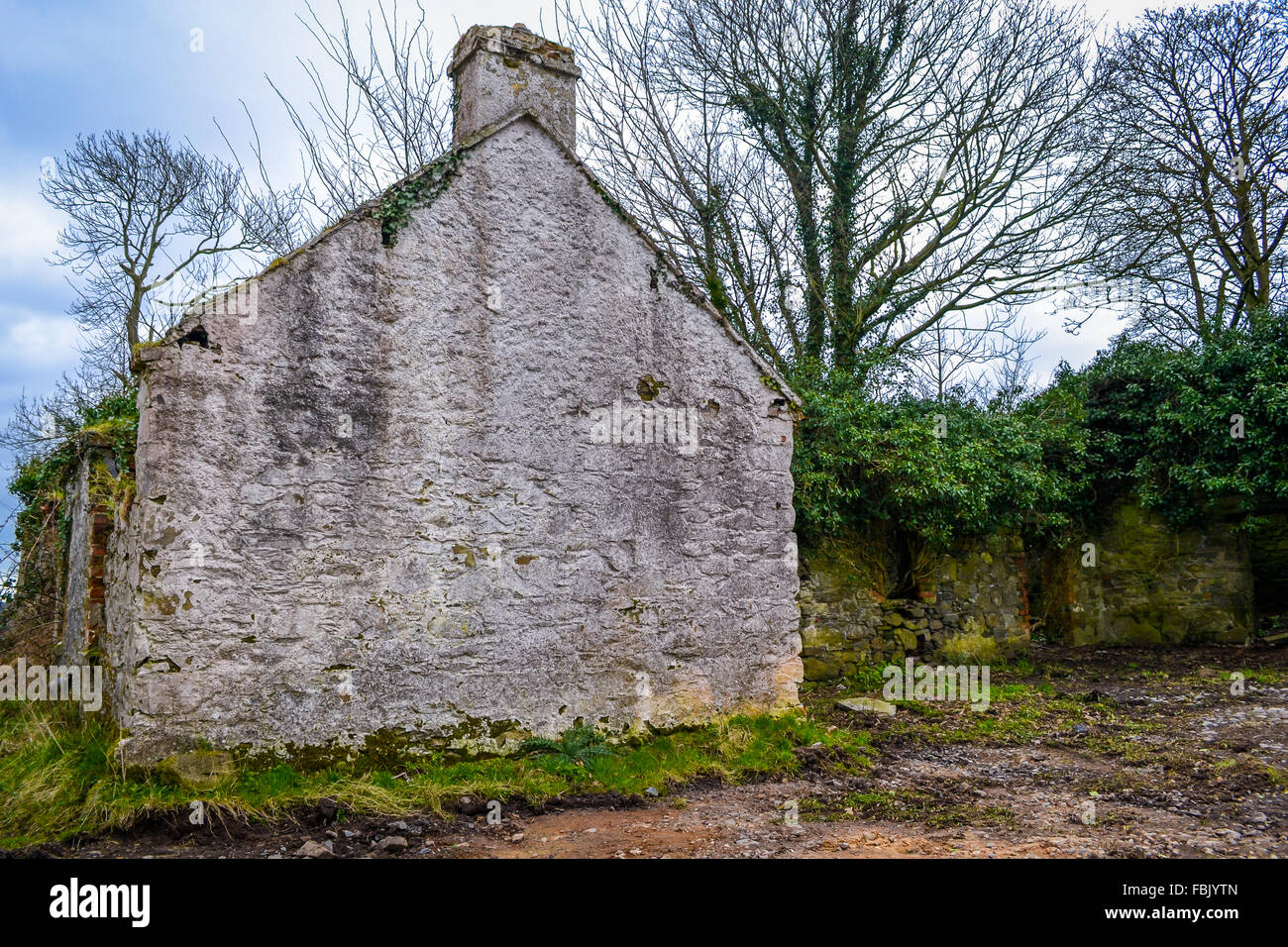 Un vieux cottage irlandais abandonnés dans un coin de campagne vide fixe champ dans le Nord de l'Irlande. Banque D'Images