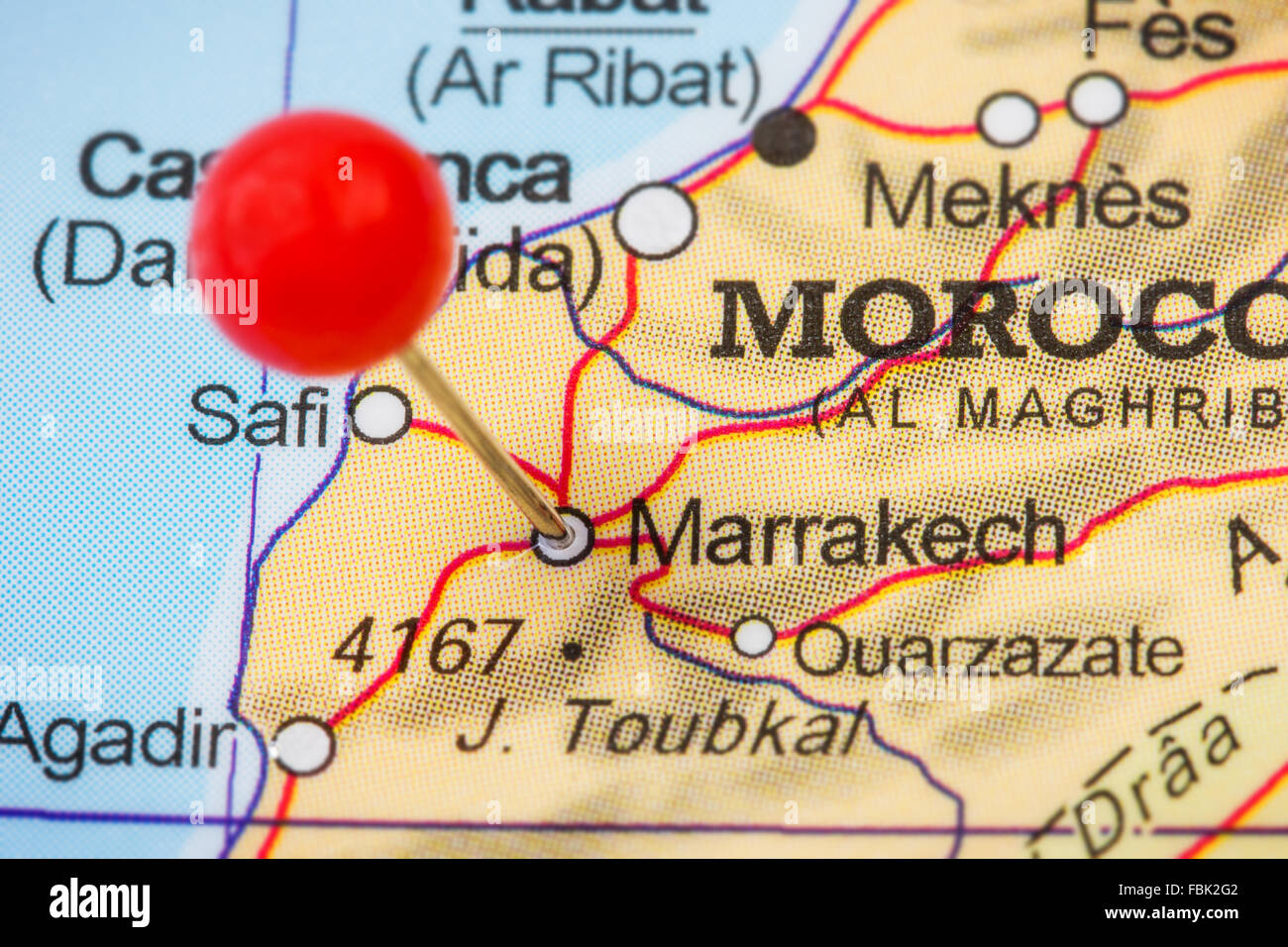 Close-up d'une punaise rouge dans un plan de Marrakech (Marrakech, Maroc). Banque D'Images