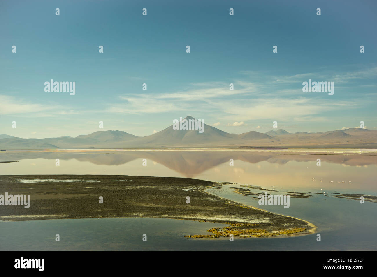 Réserve naturelle de l'Amérique latine Bolivie Uyuni Banque D'Images