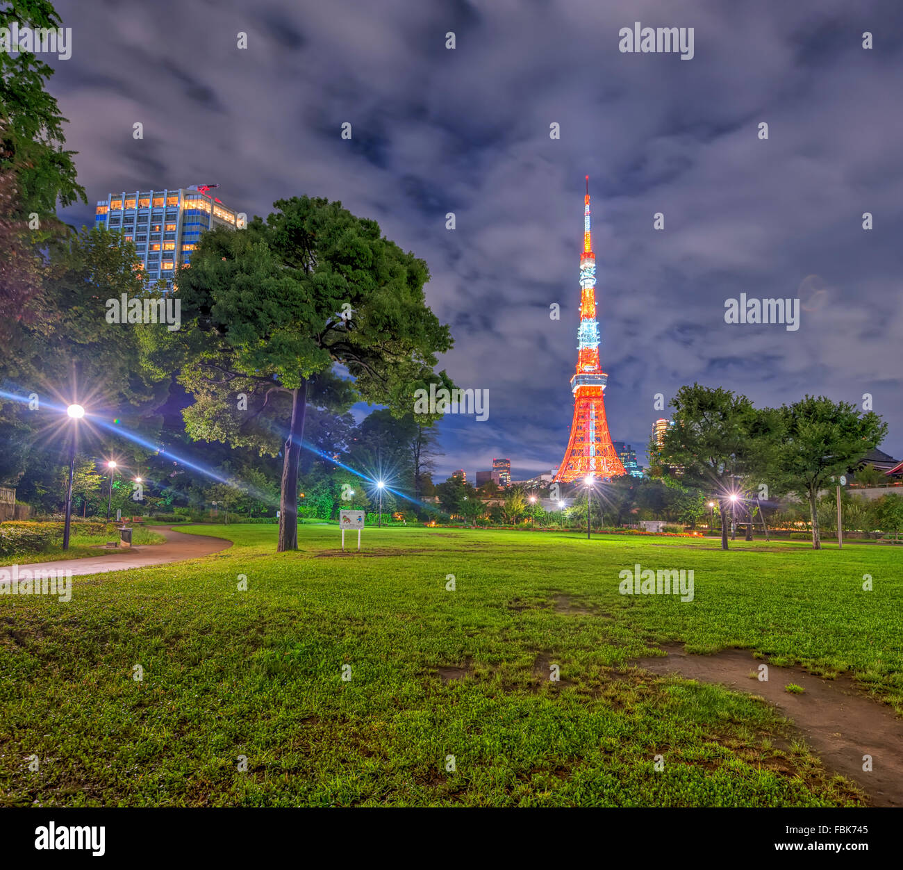 Le point de vue de la Tour de Tokyo de nuit d'un parc dans la ville de Tokyo, Japon Banque D'Images