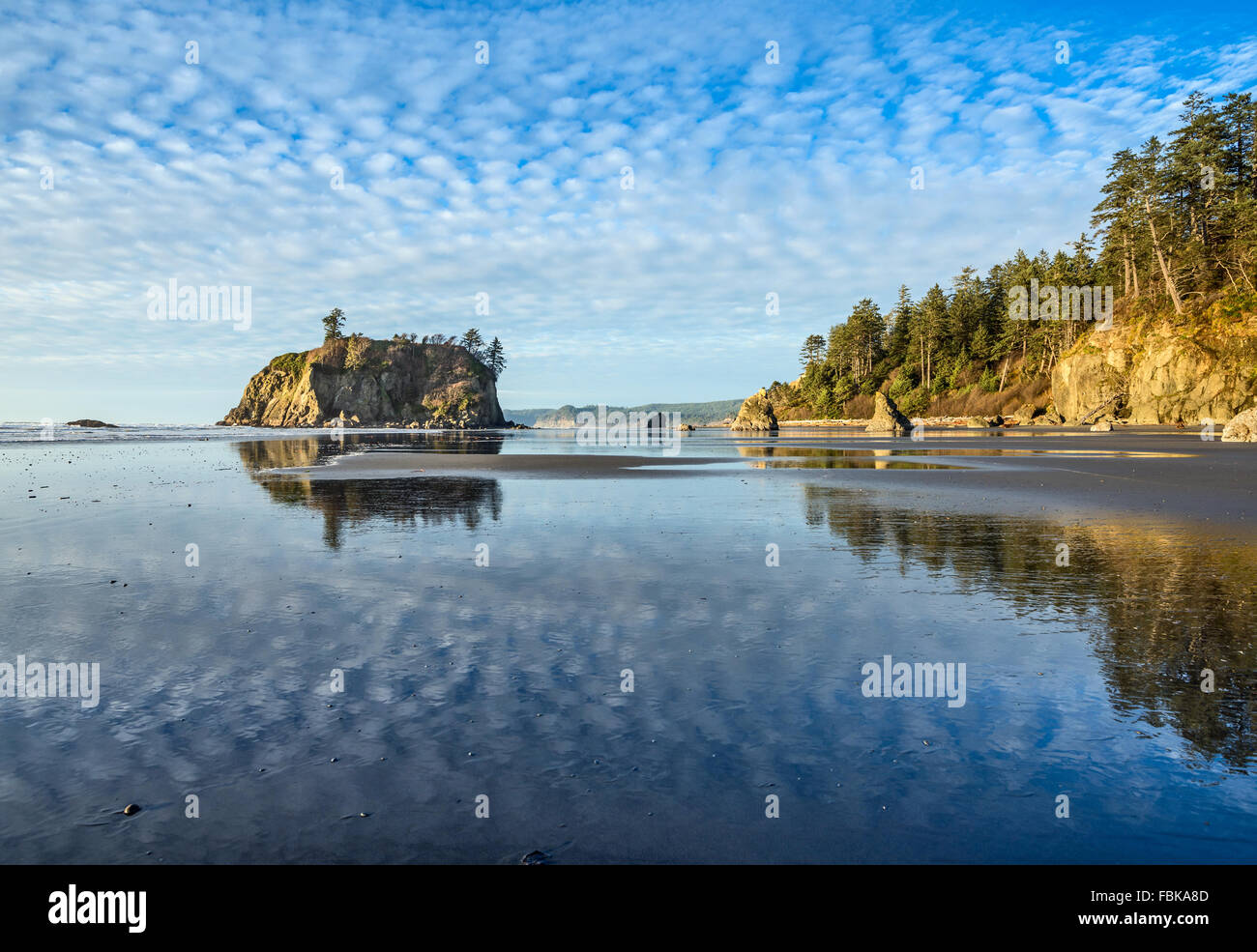 Ruby Beach dans le Parc National Olympique situé dans l'État de Washington. Banque D'Images