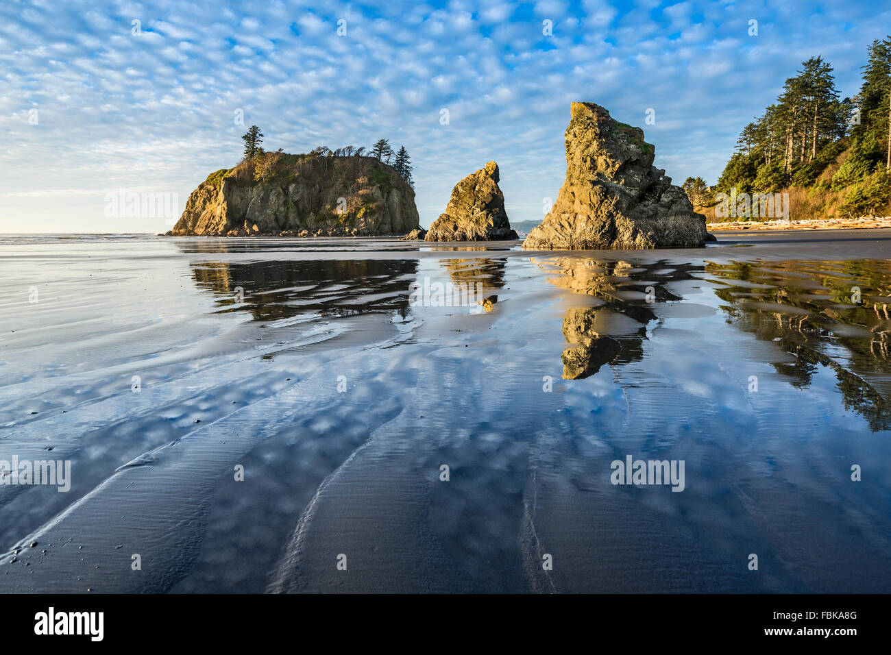 Ruby Beach dans le Parc National Olympique situé dans l'État de Washington. Banque D'Images