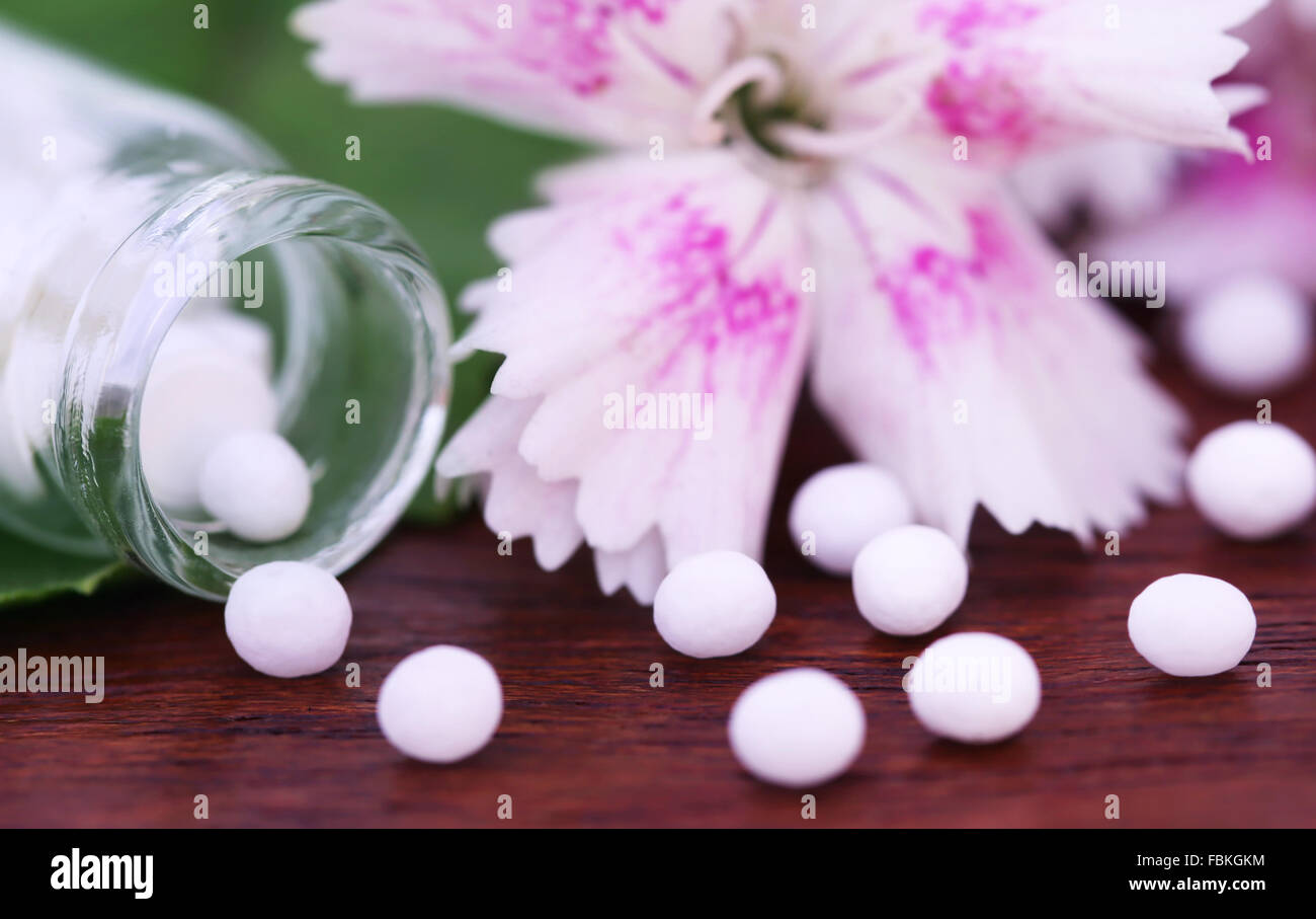 Close up de certaines fleurs de plantes avec globules homéopathie Banque D'Images