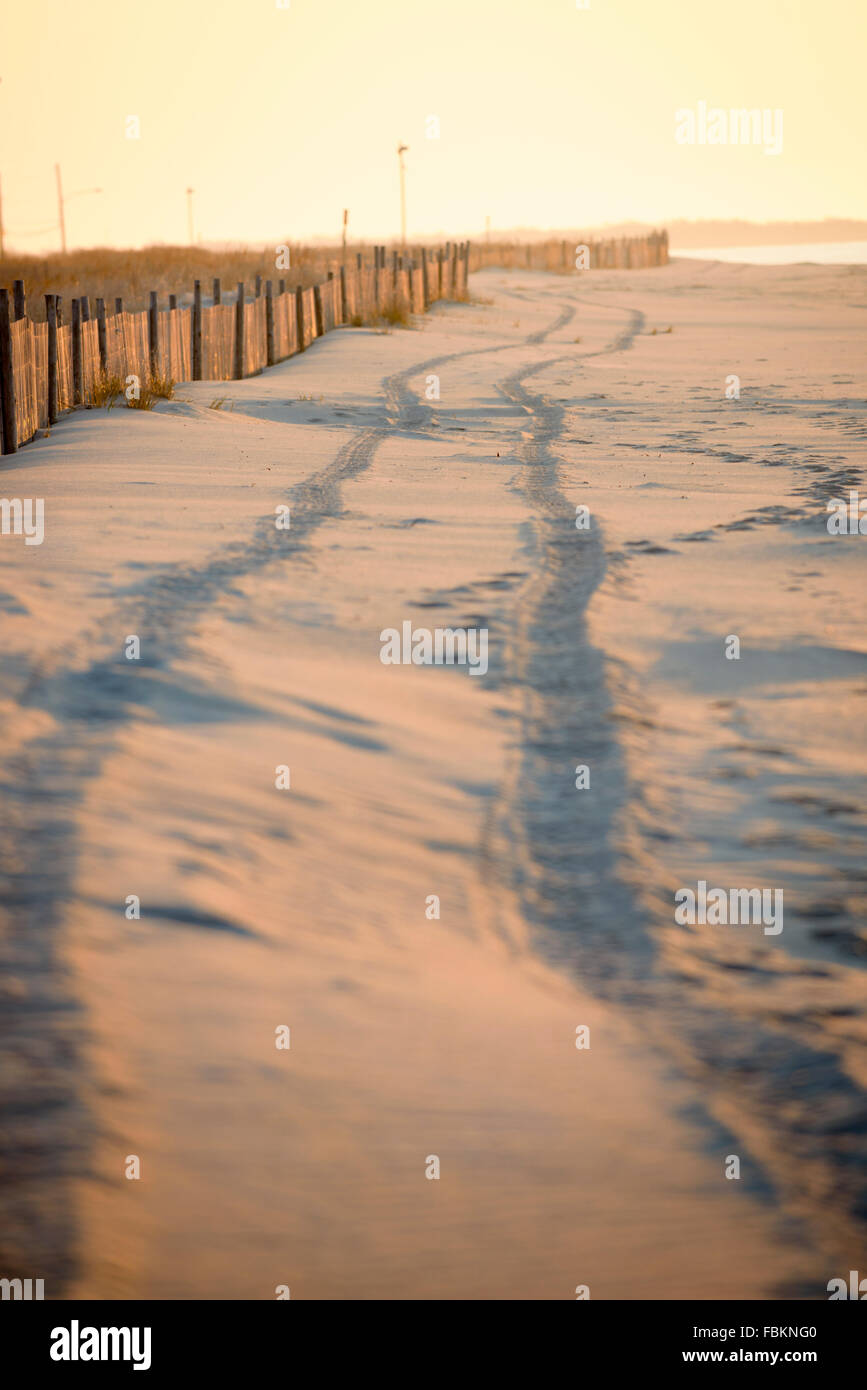 Les traces de pneus dans le sable Cape May dans le New Jersey. Banque D'Images