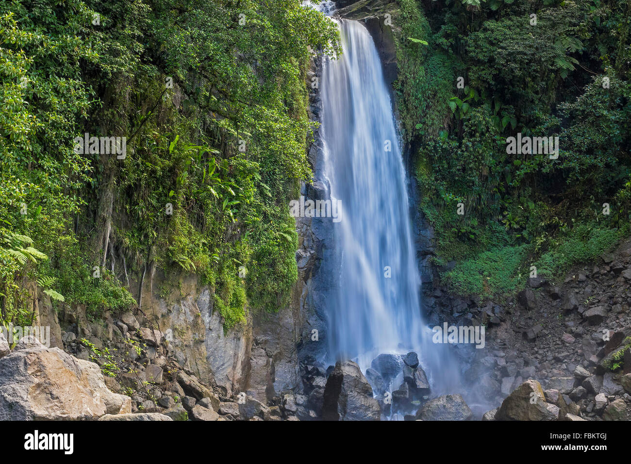 Trafalgar Falls Cascade Dominique Antilles Banque D'Images